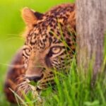 赏金女王的技能提升:不断学习与自我成长 001f4smc