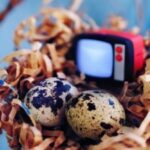 赏金女王的职业道德:在灰色地带的坚持与抉择 0pwte