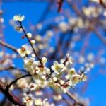 如何在职场中建立自己的影响力,成为赏金女王 bmyvh